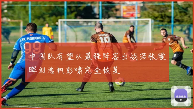 中国队有望以最强阵容出战若张瑷晖刘浩帆彭啸完全恢复
